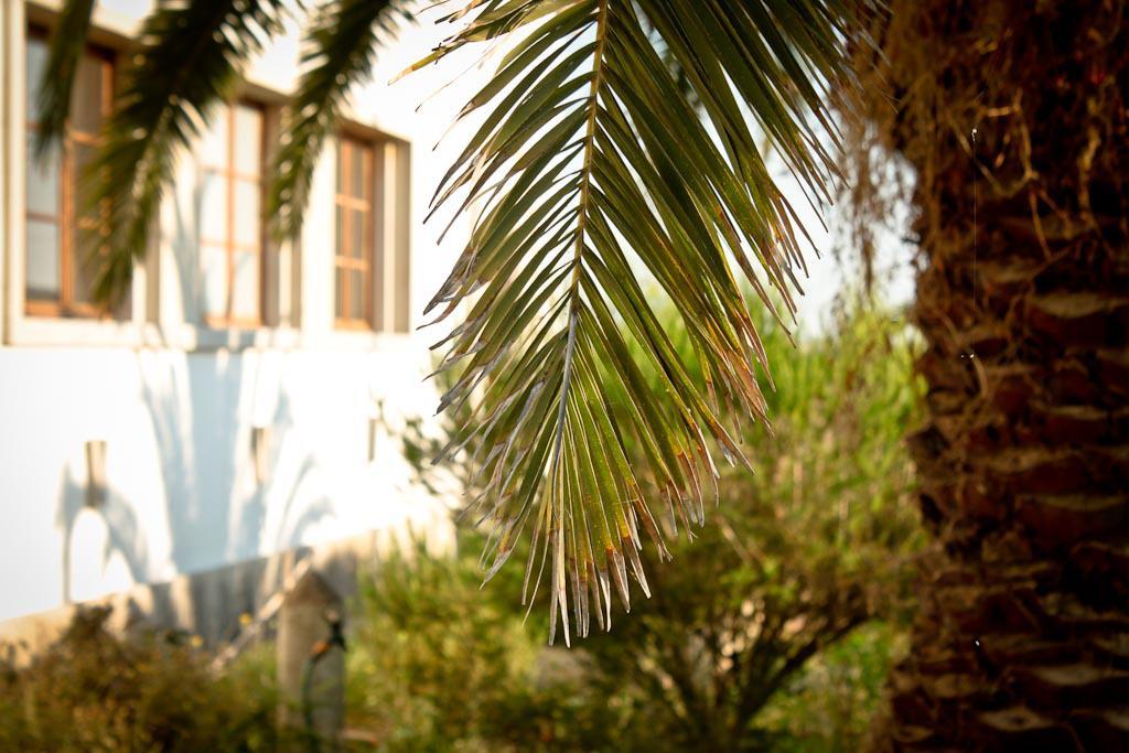 Cabeca Da Cabra Casa De Campo Porto Covo Kültér fotó